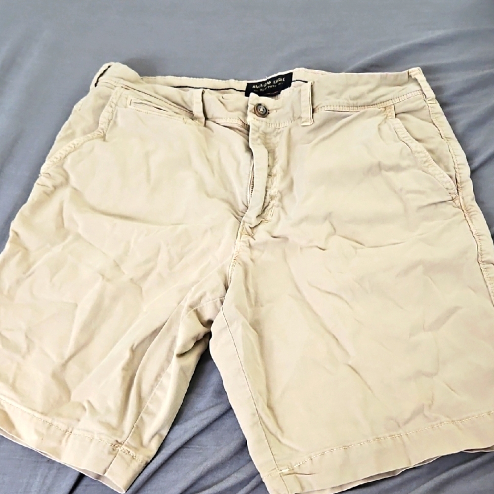 Size 33‎ American Eagle Outfitters Tan Cargo Shorts Classic Fit